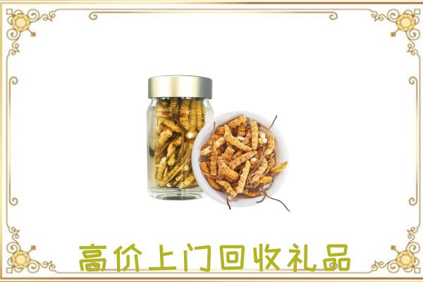 日照周边回收虫草